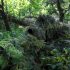 Your Guide to Speedsoft – An Alternative Take on Airsoft
